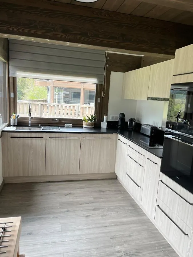 Chalet Alpaga 3 Classe 4 Etoiles Chatel France