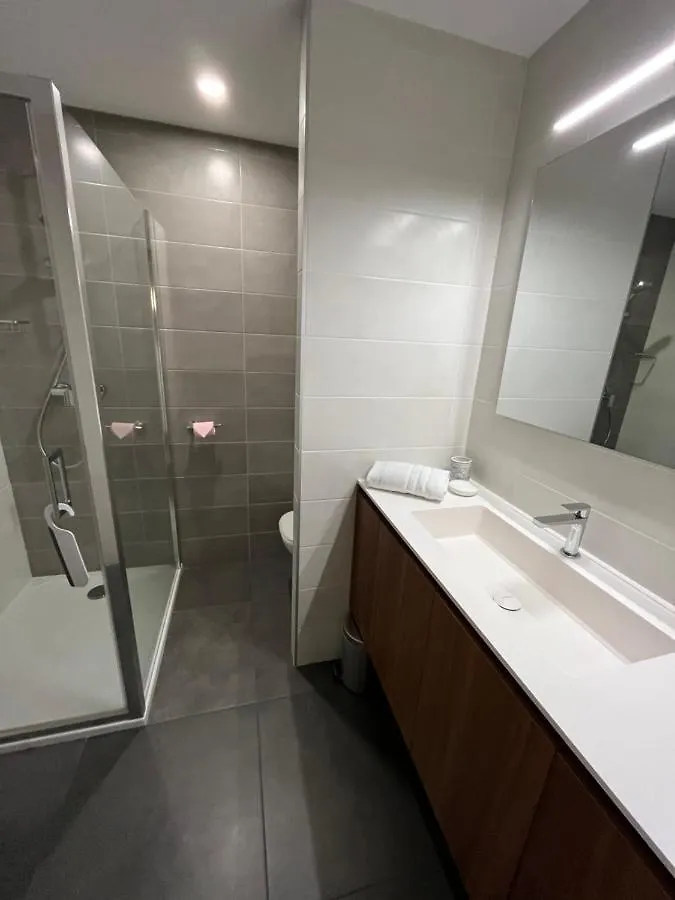 Chalet Alpaga 3 Classe 4 Etoiles Chatel