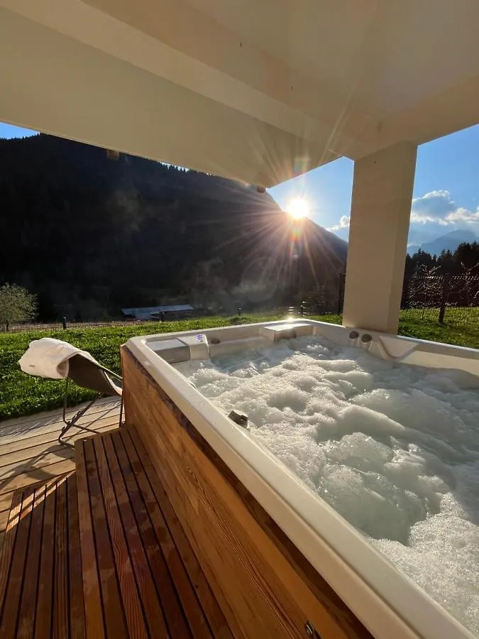 Chalet Alpaga 3 Classe 4 Etoiles Chatel France